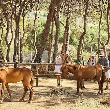Village - Del Parco &